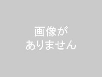 雑種、キジ白、オス、成猫を収容しました