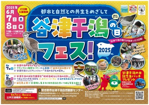 谷津干潟フェス画像