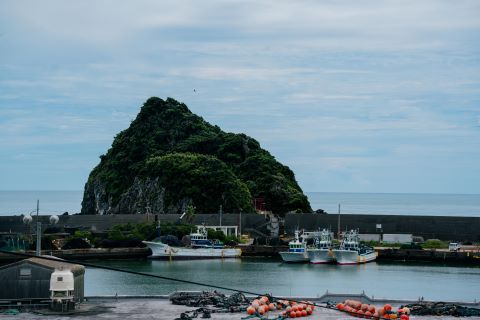 鴨川の島の写真です。