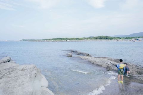 海の写真です。