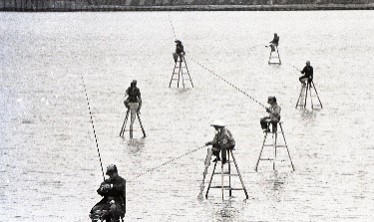 アオギス釣りの画像