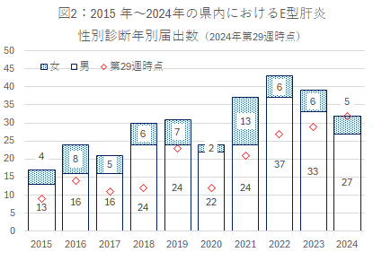 図2：2015年から2024年の県内におけるE型肝炎の性別診断年別届出数（2024年第29週時点）