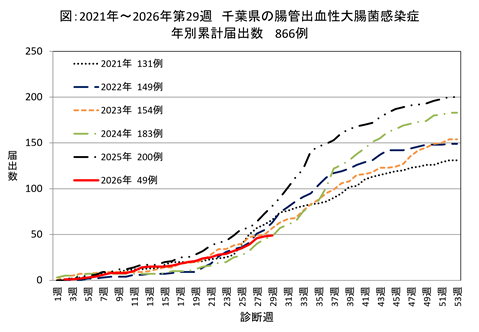 図、2021年から2026年第29週までの千葉県の腸管出血性大腸菌感染症の年別累計届出数のグラフ