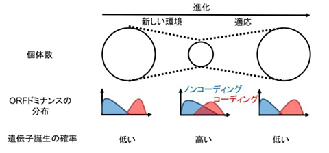 進化腫瘍学　図２