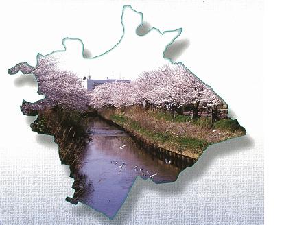 海老川と桜