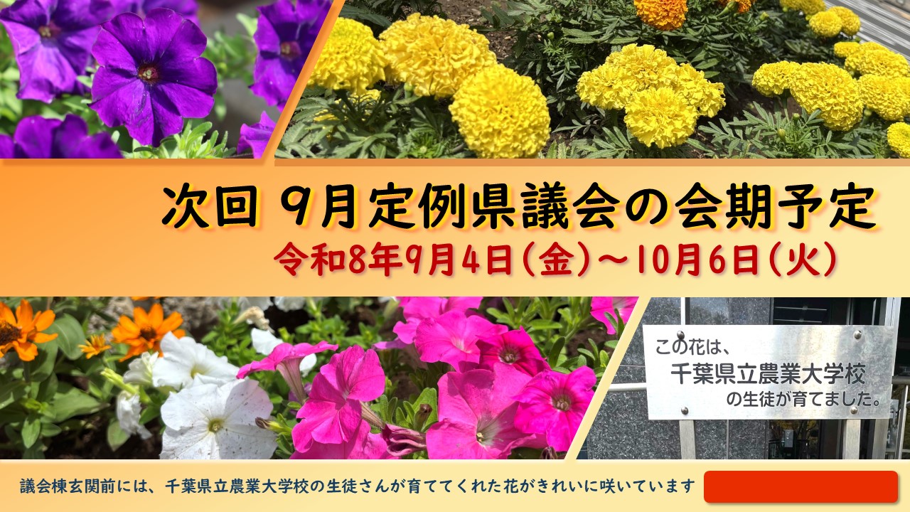 議会棟前に咲いている花の画像