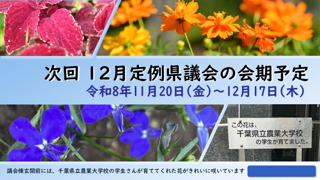 議会棟前に咲いている花の画像