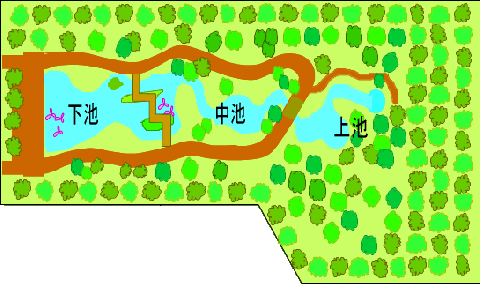 トンボ池の図