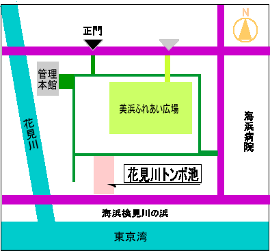 トンボ池案内図2