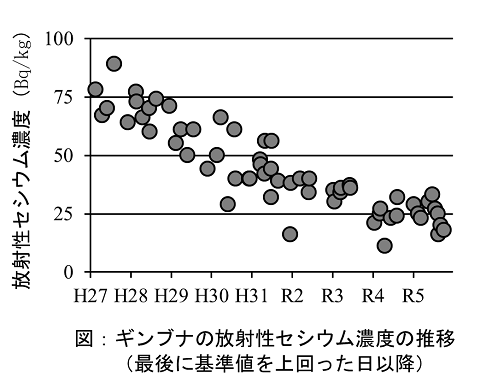 ギンブナの放射性セシウム濃度の推移