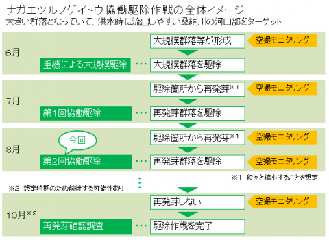 ナガエツルノゲイトウ協働駆除作戦の全体イメージ大きい群落となっていて、洪水時に流出しやすいかんのうがわの河口部をターゲット