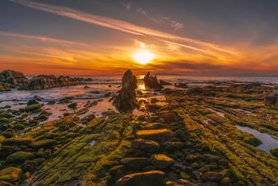 入賞 大日向 圭一 さん 「根本海岸」(南房総市)