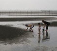 海浜公園