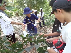 子どもたちが木の枝を持ち、仲間と作業している写真