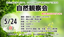 自然観察会のイベントチラシ
