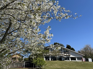 鴨川市魚見塚一戦場公園の桜の写真