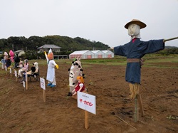 道の駅グリーンファーム館山の案山子コンテストの写真