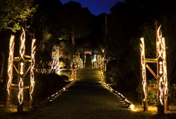 高家神社の竹あかりの写真