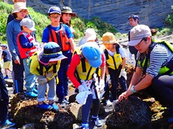 磯の生き物を探す子どもたちの写真