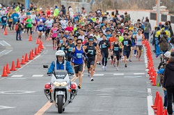 令和6年度若潮マラソンの写真