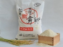 匝瑳市E賞イメージ