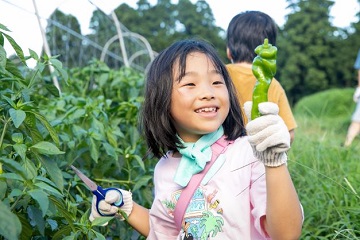 子どもが収穫体験をしている様子