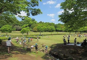 21世紀の森と広場