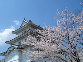 関宿城博物館の写真