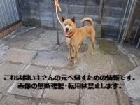 2026年1月1月13日市原市荻作