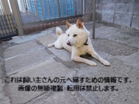 2026年3月12日市原市能満