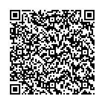 二次元コード(ミニカー)