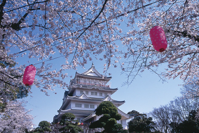Chiba castle sakura matsuri
