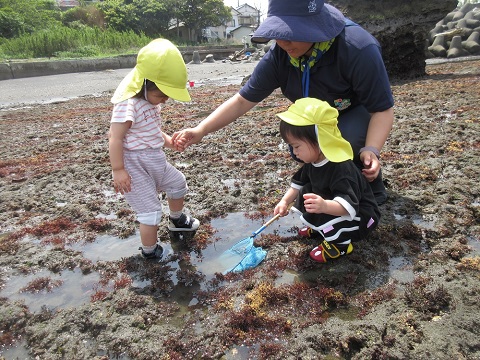 海で遊ぶ園児