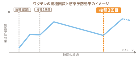 ワクチン接種回数と感染予防効果のイメージグラフ