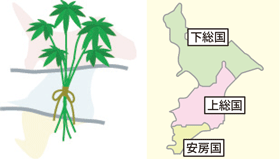 千葉県と麻