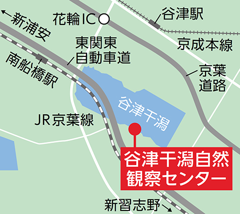 谷津干潟自然観察センターの地図