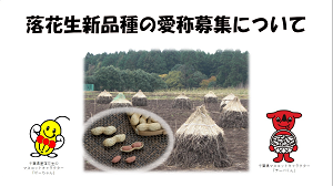 平成29年度 平成29年10月26日 知事定例記者会見