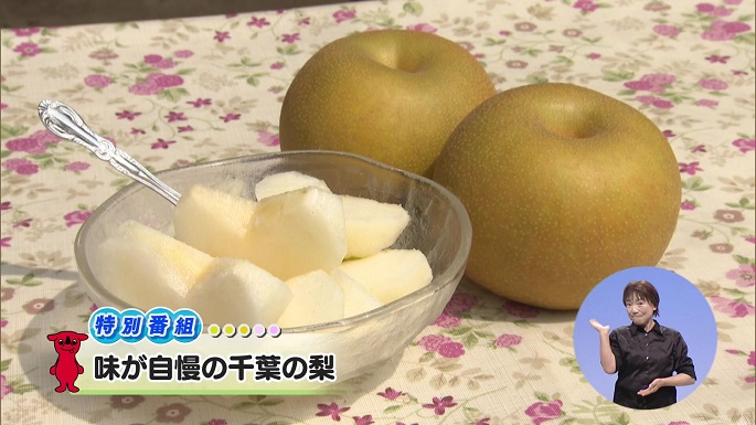 令和6年9月7日放送分（特集）【特別番組】「味が自慢の千葉の梨」／ウィークリー千葉県