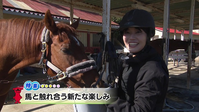 令和6年11月30日放送分(特集)「馬と触れ合う新たな楽しみ」／ウィークリー千葉県