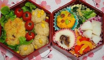 「Safety!Tasty!Vegetarian  lunch  box」