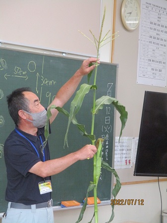 農家の方による出前授業