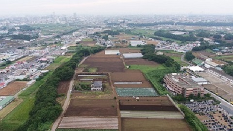 航空写真