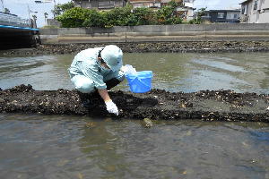 生物採集（海洋科）