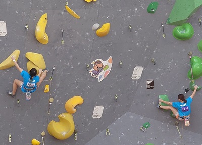 スポーツクライミング成年女子の写真