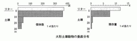 図大型土壌動物の垂直分布