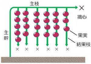 図1