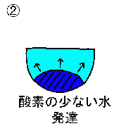 貧酸素水塊のでき方2