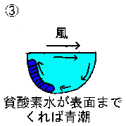 貧酸素水塊のでき方3