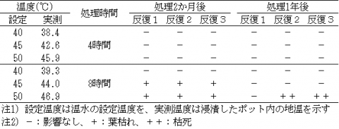 表1ビワ苗