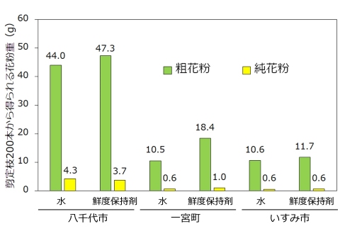 図2　3月中旬に採取したナシ剪定枝（豊水）の早期加温時に鮮度保持剤を使用した場合の花粉採取重への影響の図